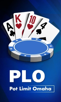 Poker Game-No Limit Texas holdem Poker